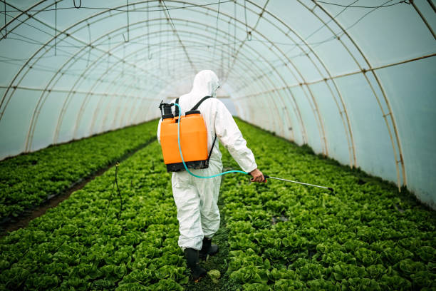 Best Pest Prevention Services  in Twentynine Palms, CA