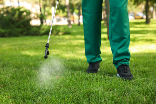 Best Affordable Pest Control Services  in Twentynine Palms, CA