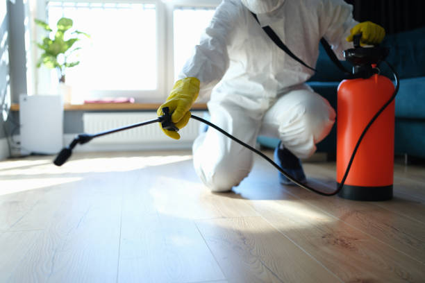 Best Pest Removal Services  in Twentynine Palms, CA