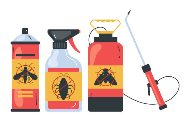 Wasp Removal Services in Twentynine Palms, CA